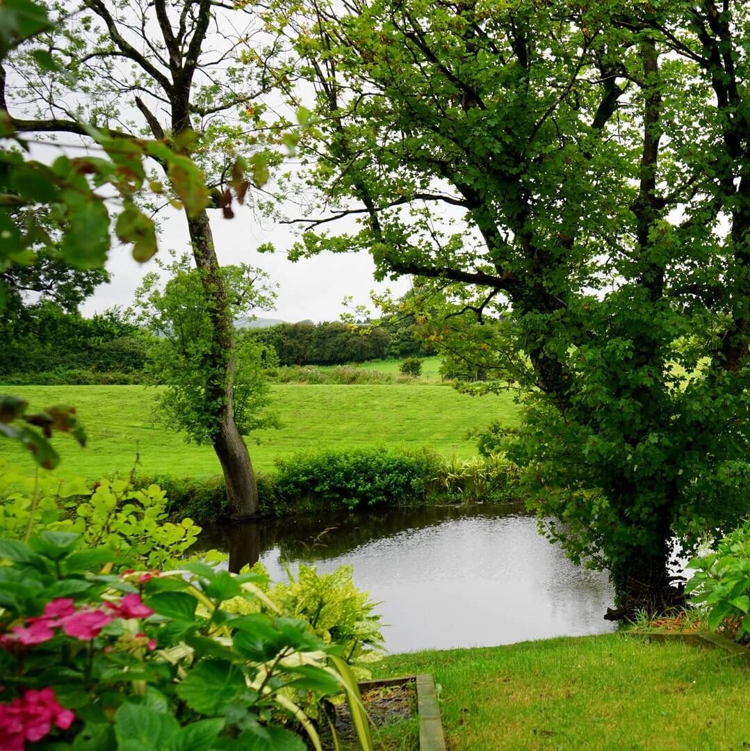 weekly-lawn-service-lexington-sc, landscaper lexington sc, landscaping lexington sc