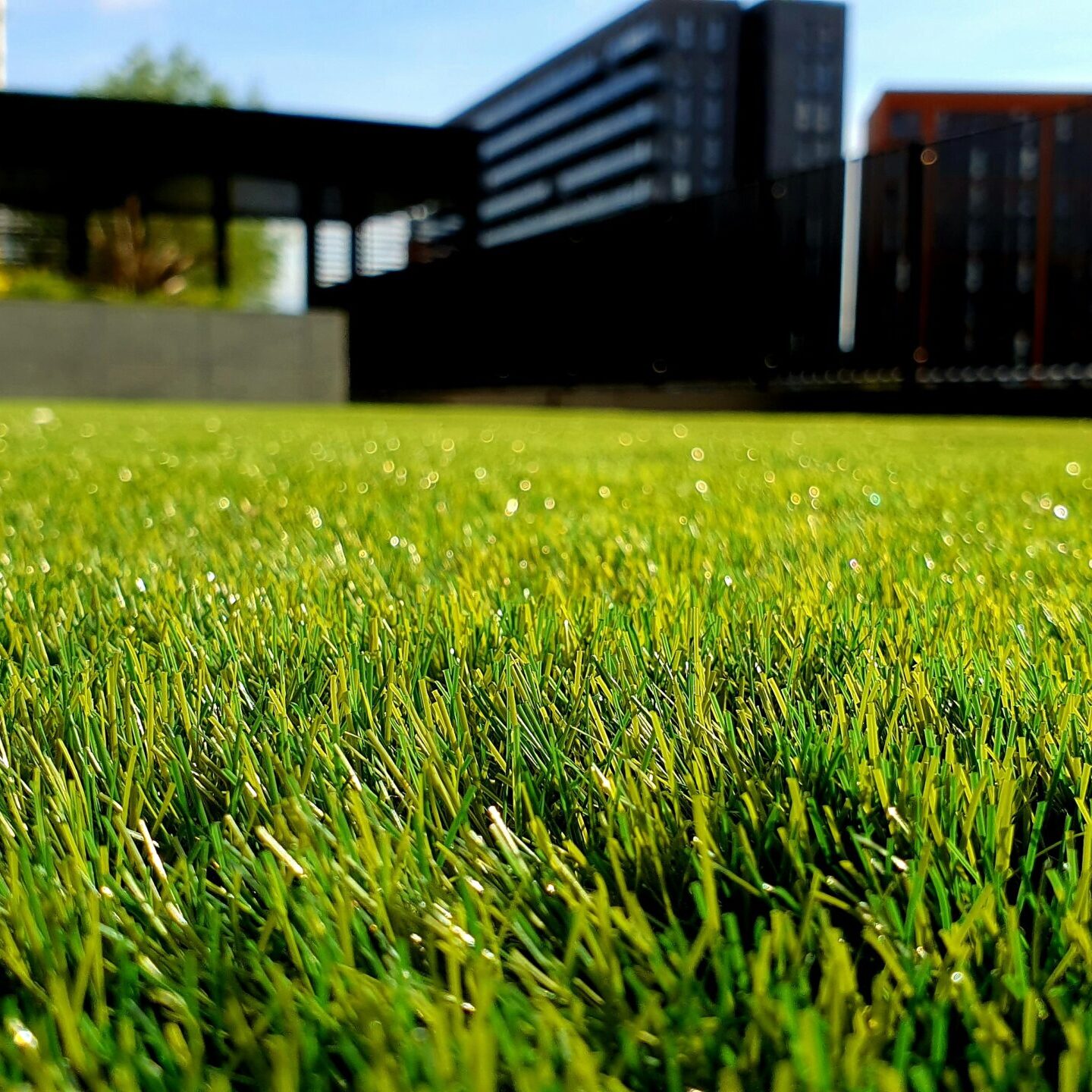 landscaping lexington sc, landscaper lexington sc