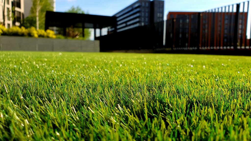 commercial landscaping lexington sc